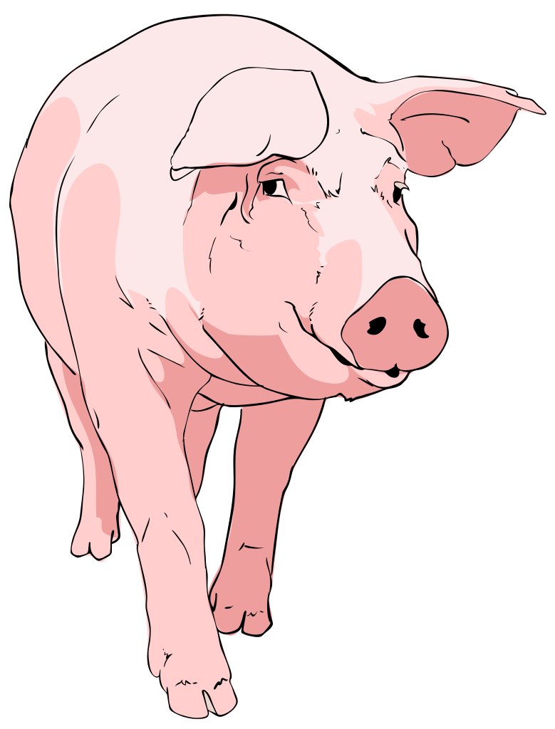 File pig clipart svg wikimediamons