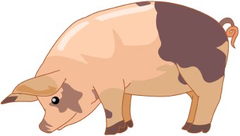 Free black and white pig clip art clipart