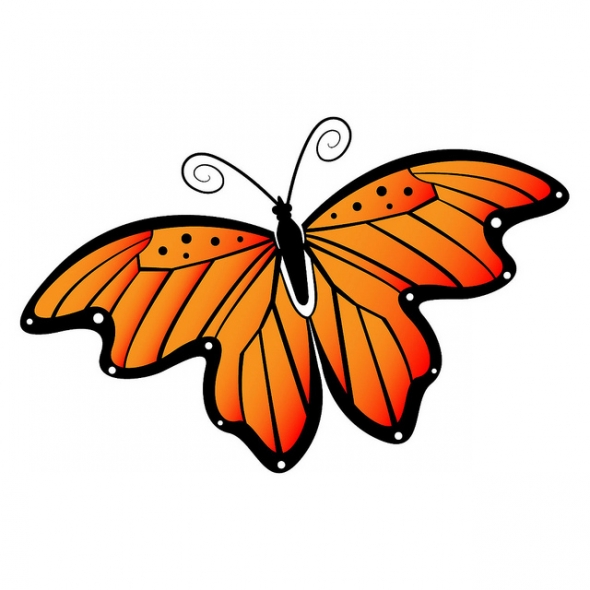 Free butterfly clip art graphics clipart images