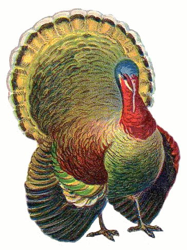 Free turkey clipart thanksgiving dinner