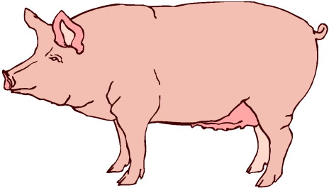 Image of pig clipart 7 clip art free vector clipartoons 2