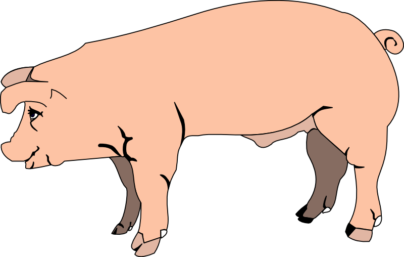 Image of pig clipart 7 clip art free vector clipartoons 6