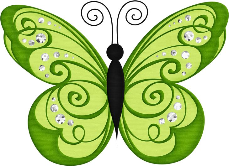 Images about clipart transparent butterfly on