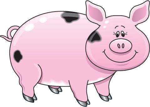 Pig clipart free images