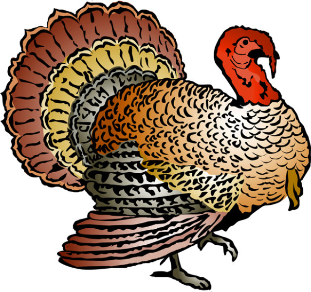 Turkey free thanksgiving clipart 2