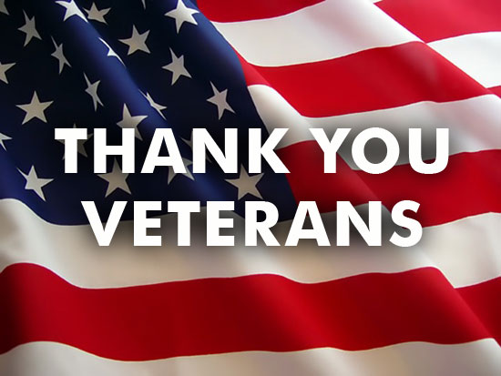 Veterans day free clip art of thank you veterans clipart 9