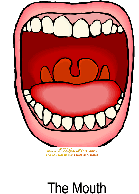 Mouth clip art free clipart images 6