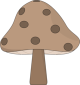 Mushroom Clipart Pictures – Clipartix