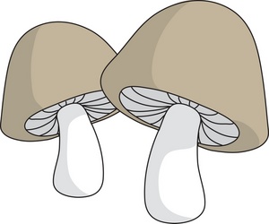 Mushroom cliparts clip art library