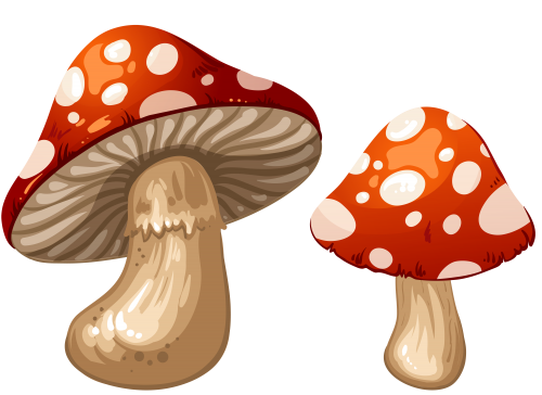 Mushrooms clipart biezumd