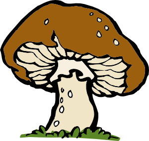 Mushrooms clipart image