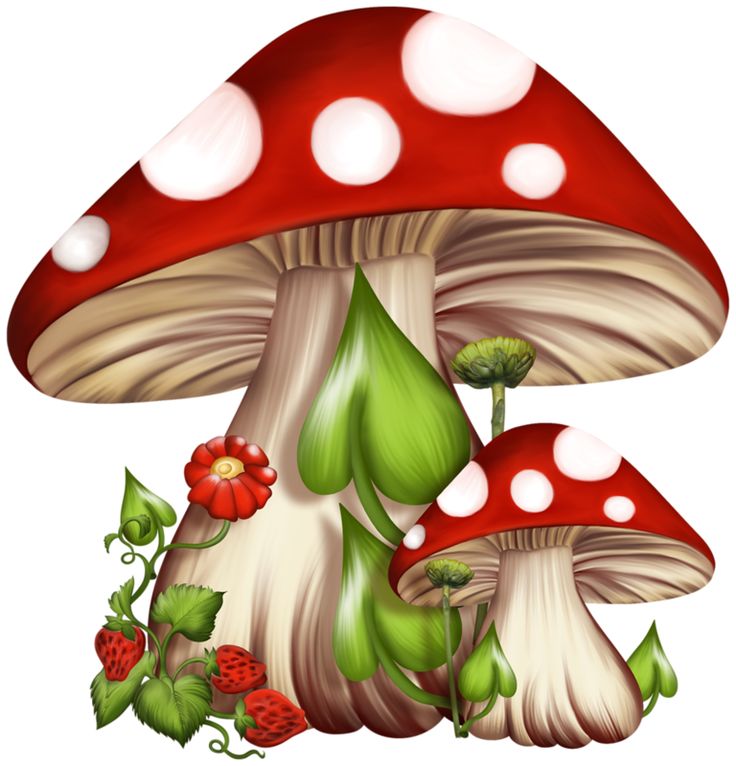 Mushrooms images on mushrooms clip art and