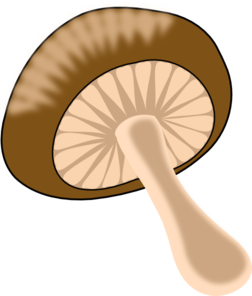 Wild mushroom clip art at vector clip art