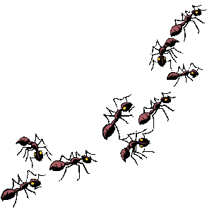 Animated ants ant clipart free
