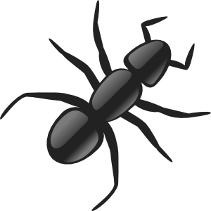 Ant clip art ant image 5