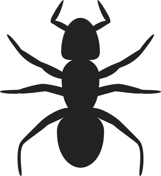 Ant clip art free vector in open office drawing svg 2