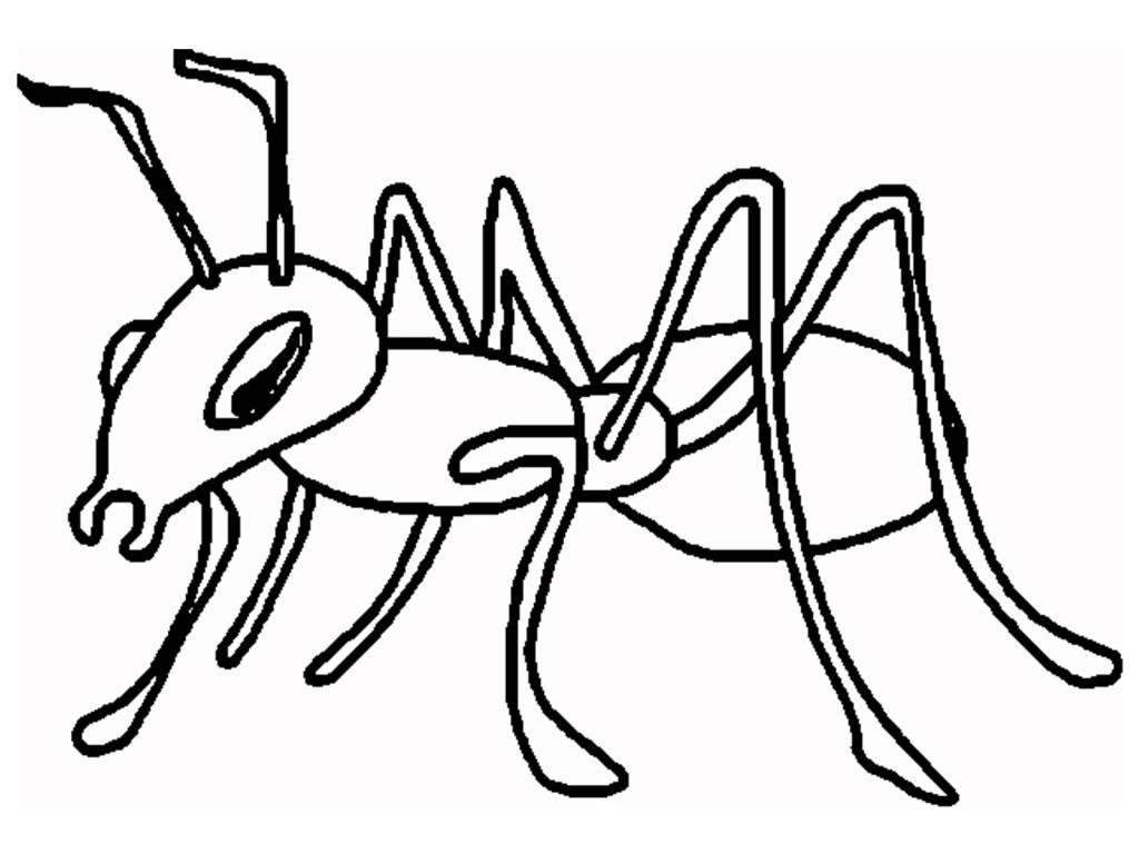 Ant clipart 4