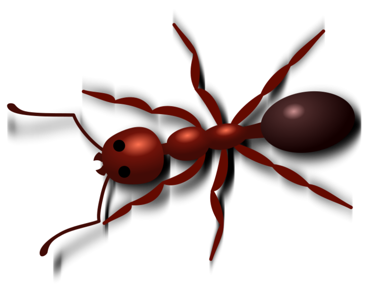 Ant clipart 7 clipartandscrap