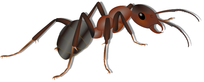 Ant clipart clip art library 2