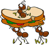 Cute ant clipart clip art library - Clipartix