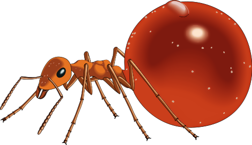 Ant clipart image 5