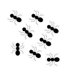 Ant silhouette vector graphics clip artsilhouette