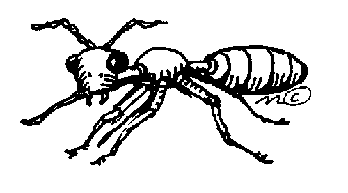 Big ant clip art gallery