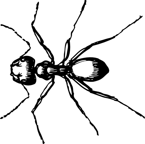 Carpenter ant clip art free vector in open office drawing svg