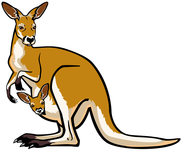 Clip art kangaroo free clipart images