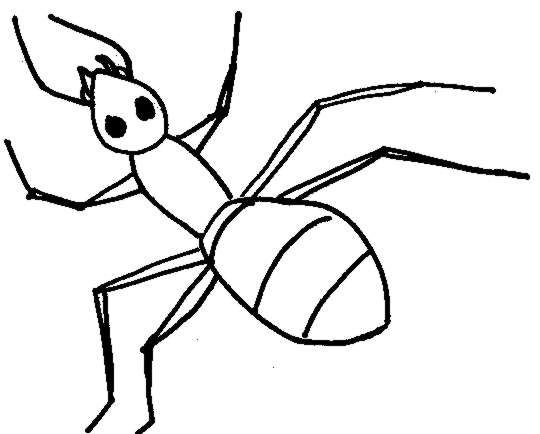 Dead ants cliparts free download clip art on
