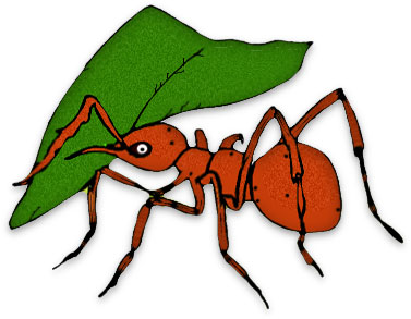 Free ant clipart black ants 2