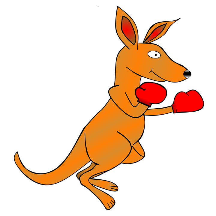 Free illustration kangaroo clip art ing gloves image