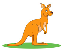 Free kangaroo clipart clip art pictures graphics illustrations 4