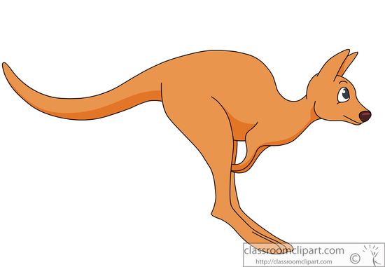 Free kangaroo clipart clip art pictures graphics illustrations 5