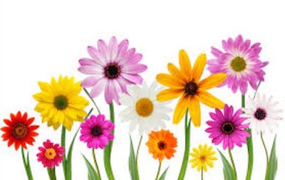 Free may flowers clipart 3