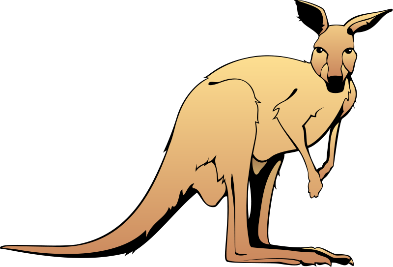 Kangaroo animal clipart free images