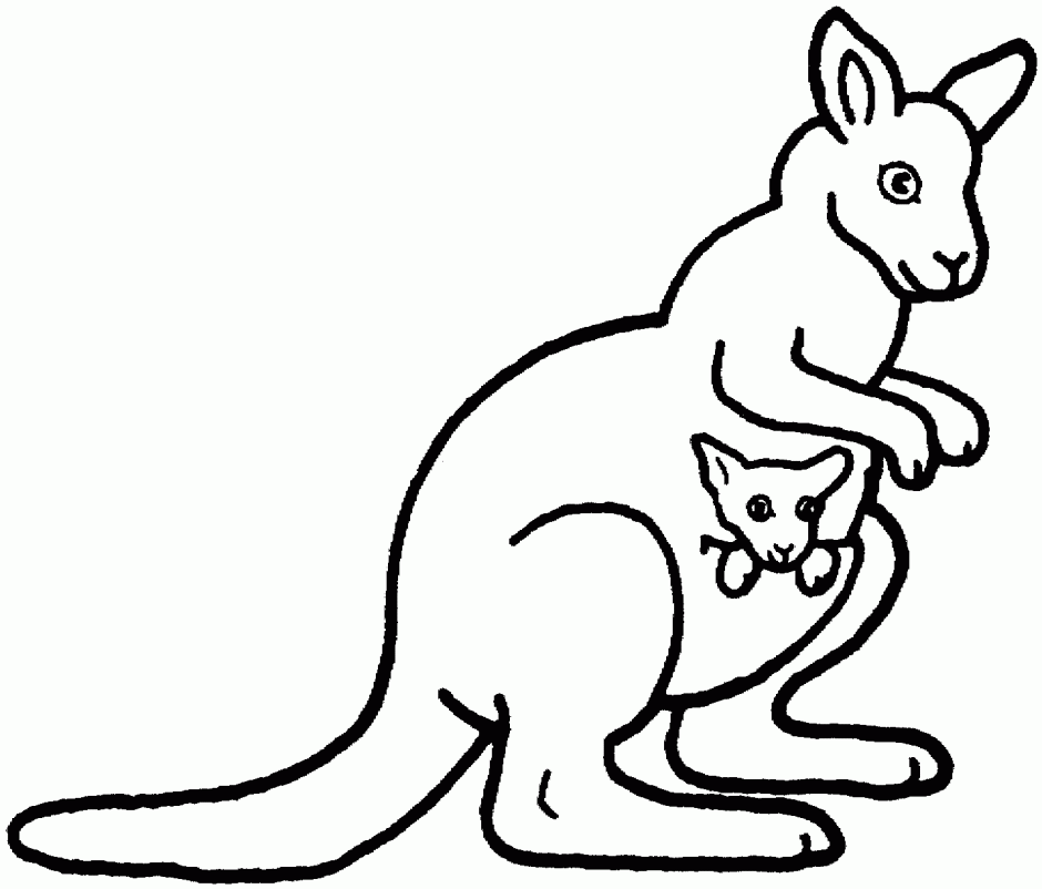 Kangaroo clip art 7 kangaroo clipart fans clipartbarn
