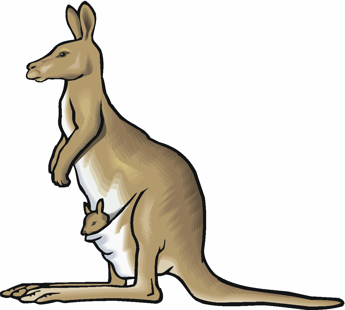 Kangaroo clipart 2
