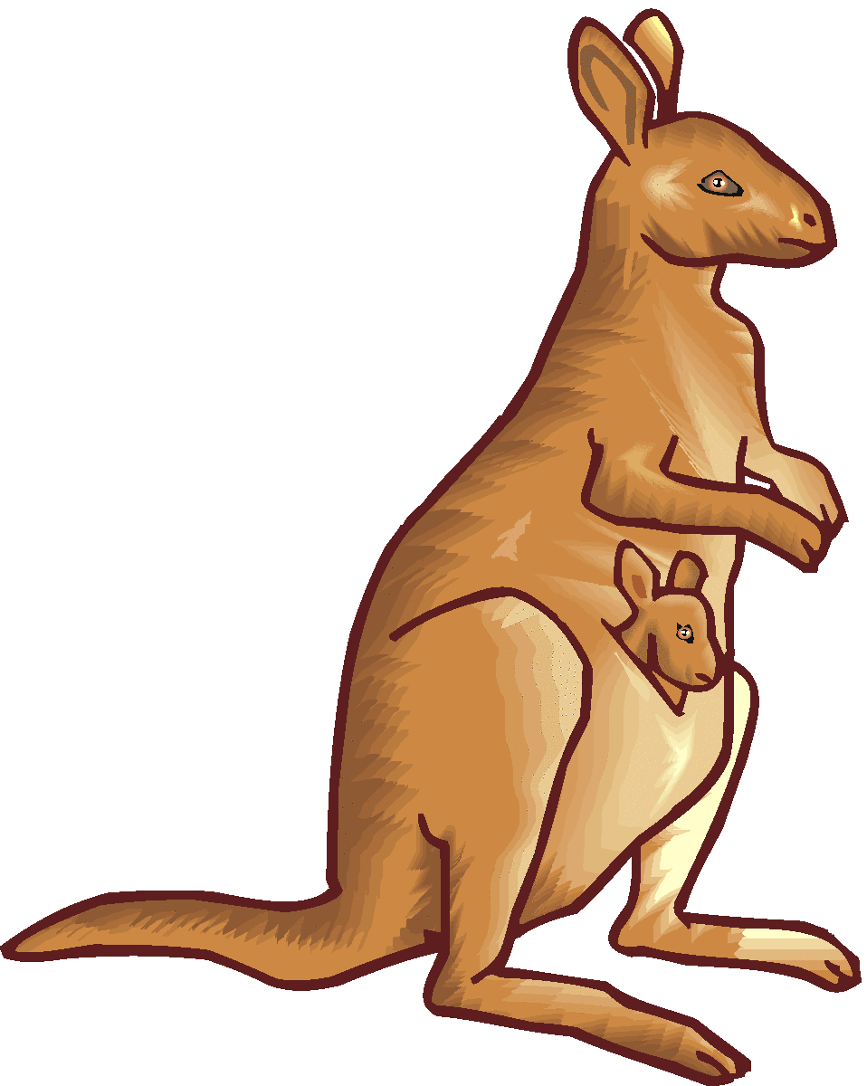 Kangaroo clipart free images 2