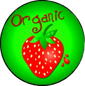 Organic strawberry clipart image fresh strawberry with the word