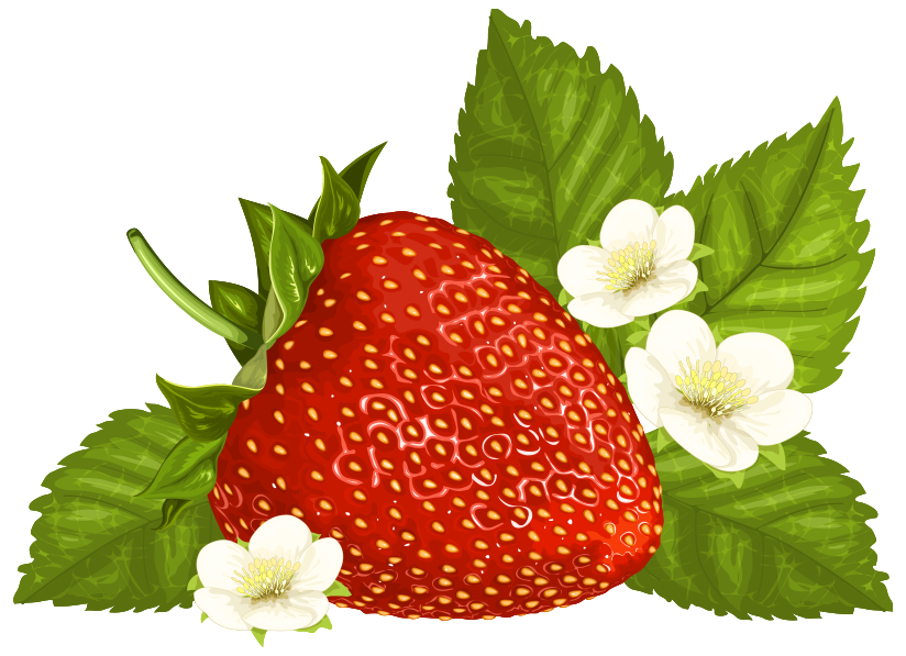 Strawberry clip art free clipart images 4 wikiclipart