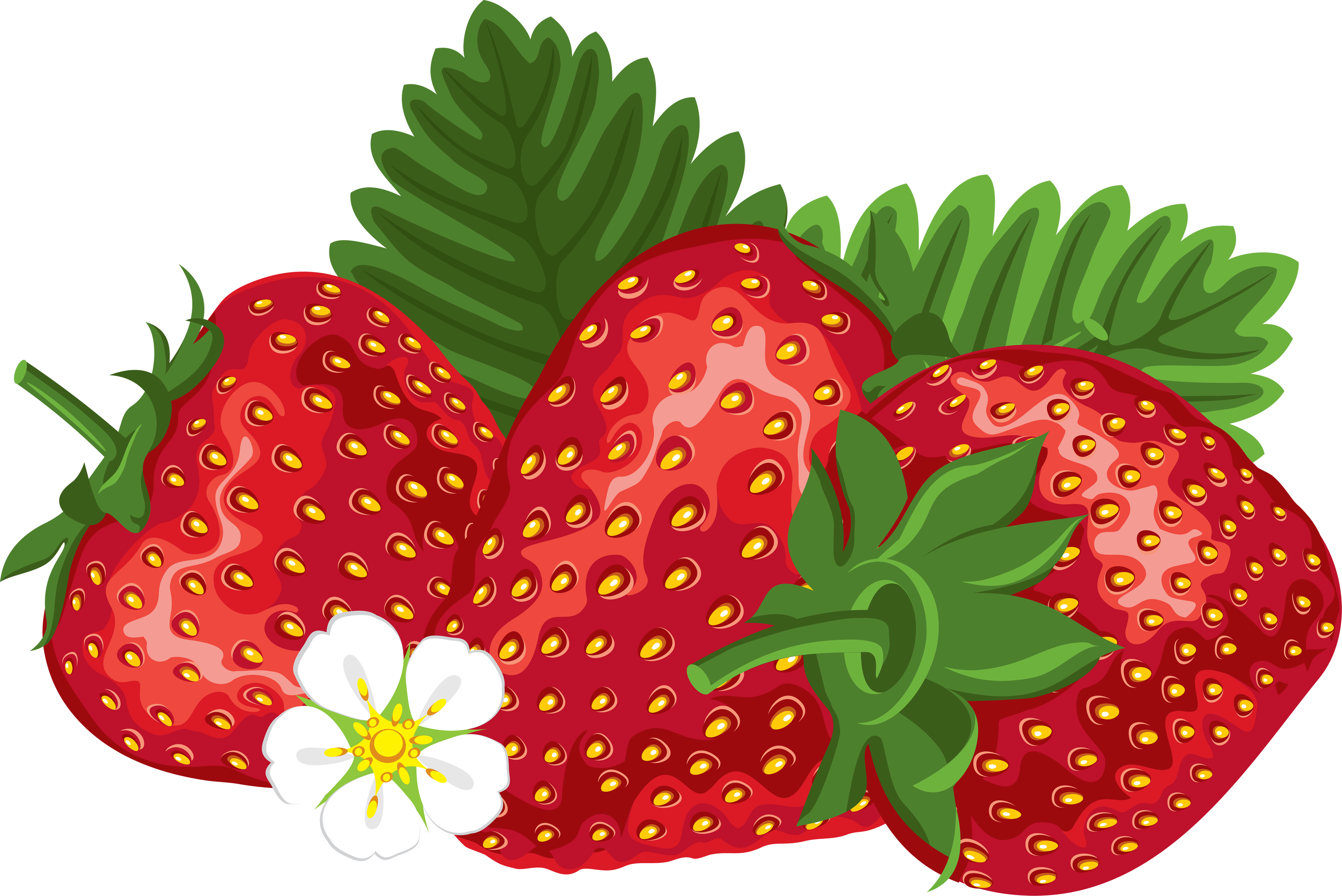 Free strawberry clipart - Clipartix