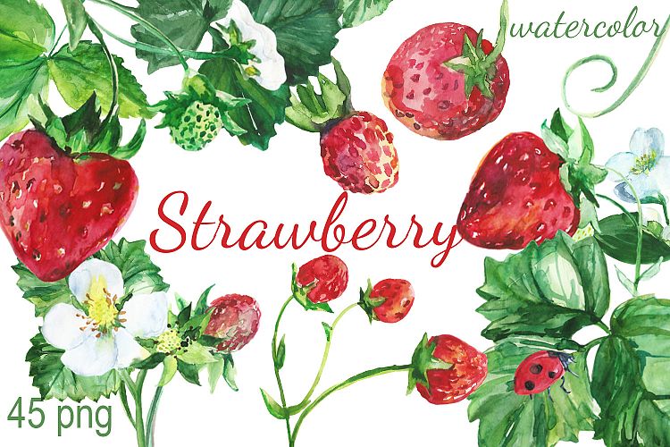 Watercolor strawberry clip art by dolly design bundles