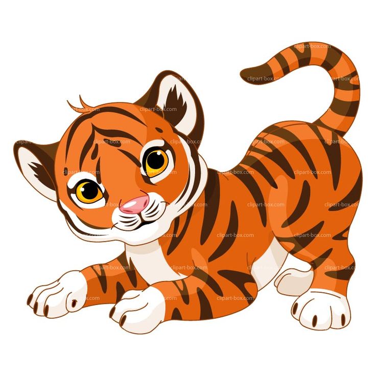 Cartoon baby tiger clipart - Clipartix