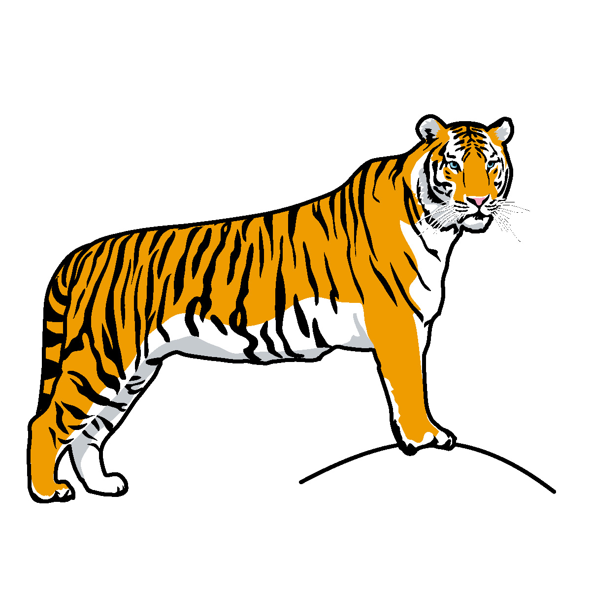 Tiger clip art free clipart images 2