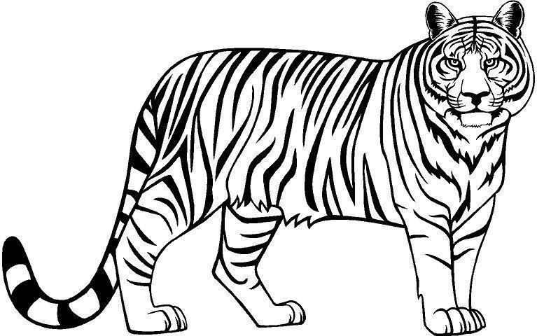 Tiger clip arts images free download black and white ...