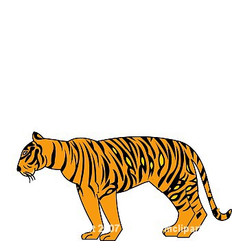 Tiger clipart 14g