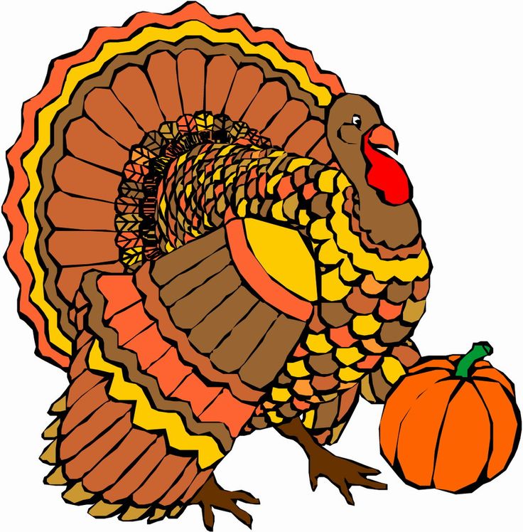 November turkey cliparts