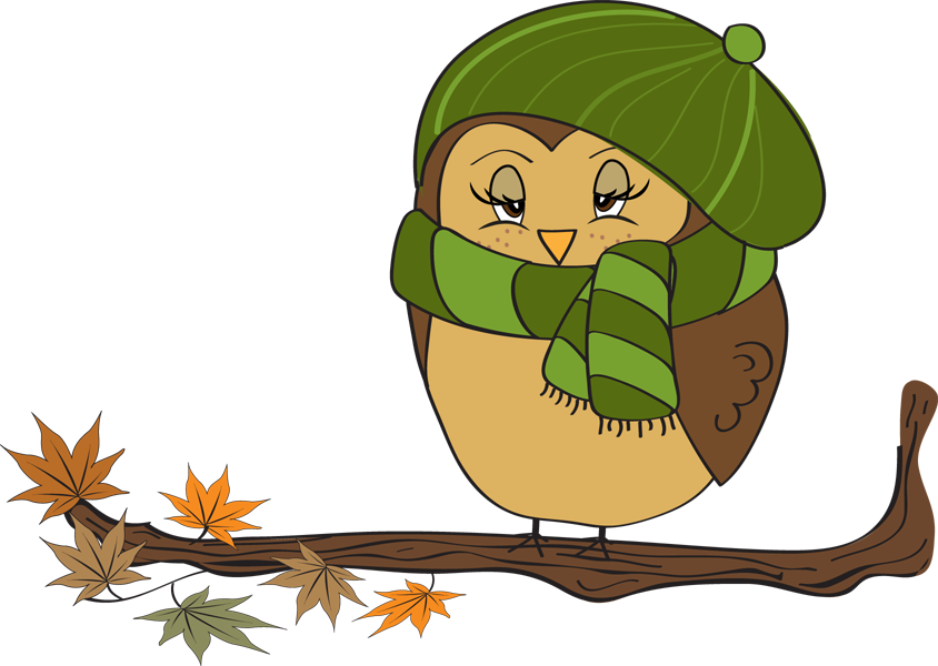 Owl clipart november pencil and in color owl