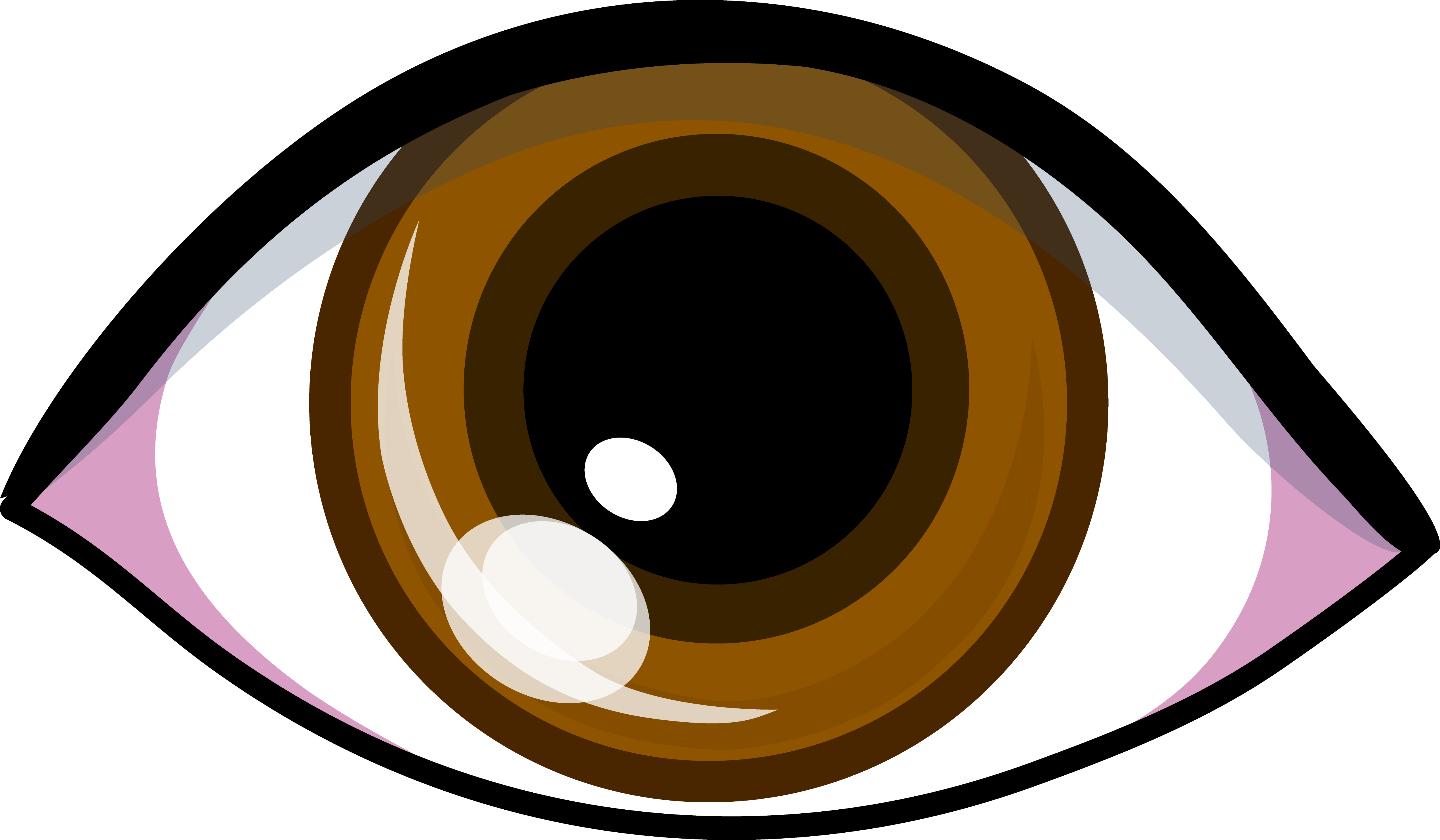 Brown Female Eyes PNG Clipart - Best WEB Clipart